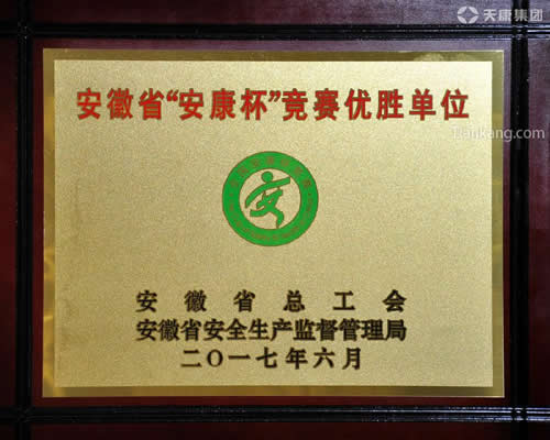 安徽天康(集团)股份有限公司
